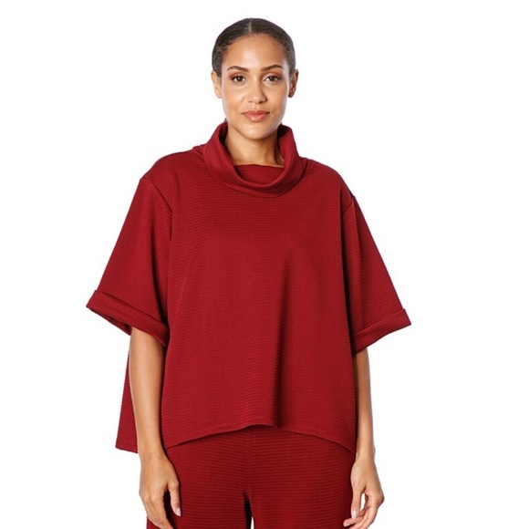 Nwt DIANE GILMAN oversized turtleneck top - Picture 1 of 4